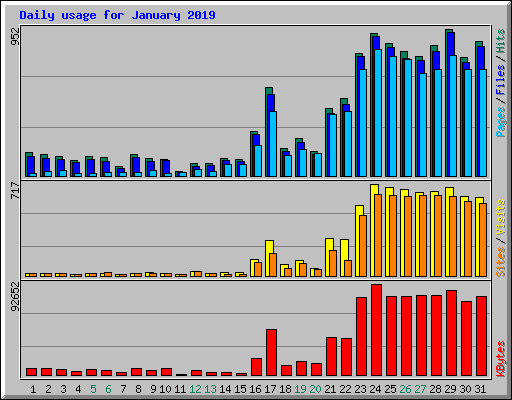Daily usage for January 2019