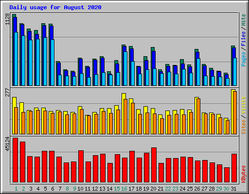Daily usage for August 2020