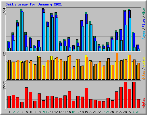 Daily usage for January 2021