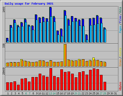 Daily usage for February 2021