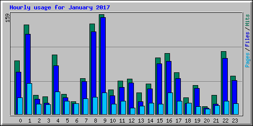 Hourly usage for January 2017