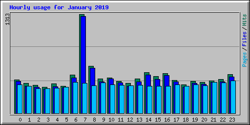 Hourly usage for January 2019