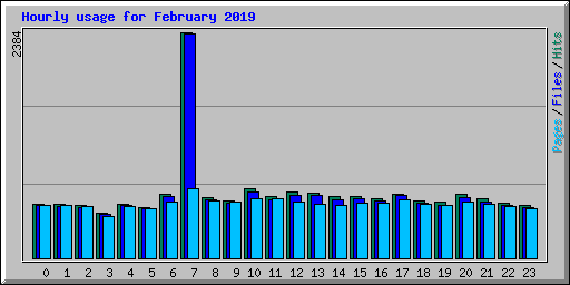 Hourly usage for February 2019