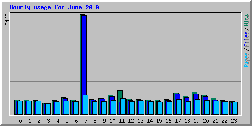 Hourly usage for June 2019