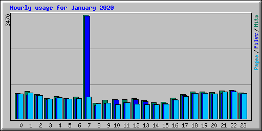 Hourly usage for January 2020