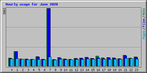 Hourly usage for June 2020