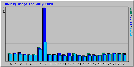 Hourly usage for July 2020
