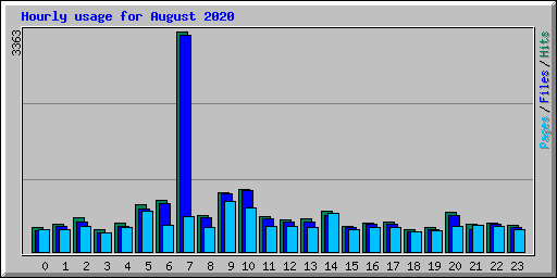 Hourly usage for August 2020