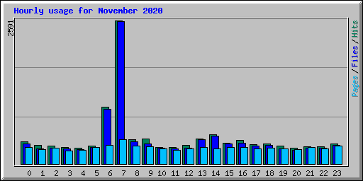 Hourly usage for November 2020