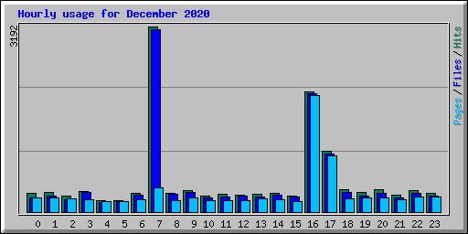 Hourly usage for December 2020