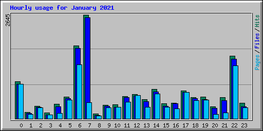 Hourly usage for January 2021
