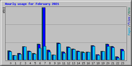 Hourly usage for February 2021