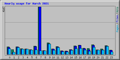 Hourly usage for March 2021