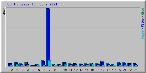 Hourly usage for June 2021