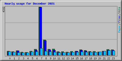 Hourly usage for December 2021