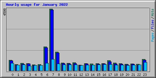 Hourly usage for January 2022