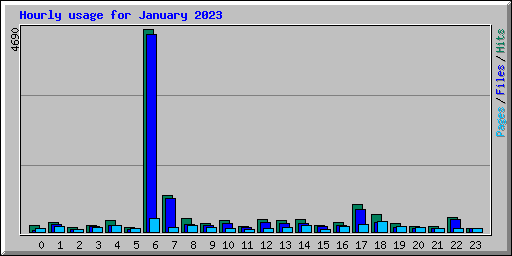 Hourly usage for January 2023